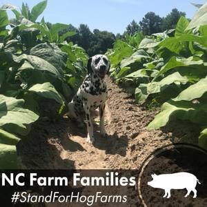 Meet your Posher, Maryanna